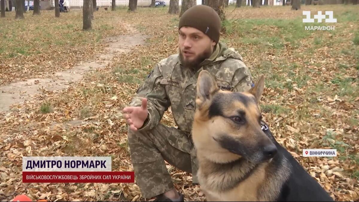 У ЗСУ показали унікального пса, який попереджає захисників про небезпеку (ФОТО)