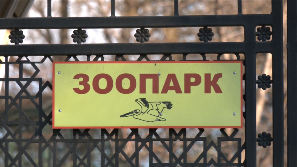 Леопард поранив співробітника зоопарку в Одесі