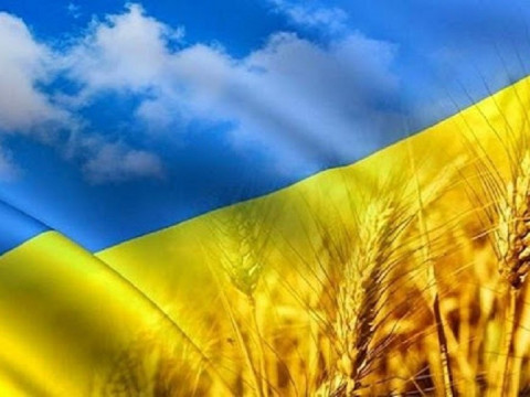 Історія успіху: як ветеран-переселенець збудував успішний бізнес на Вінниччині