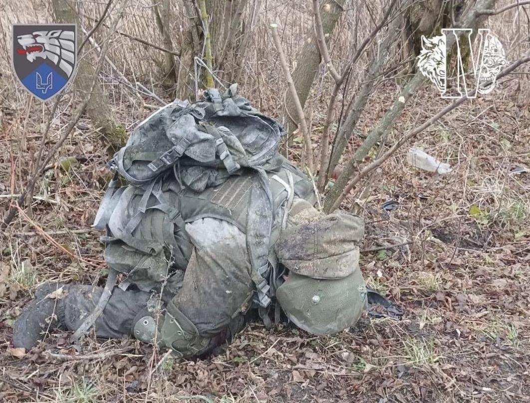 У Курській області бійці ССО знищили групу північнокорейських військових (фото)
