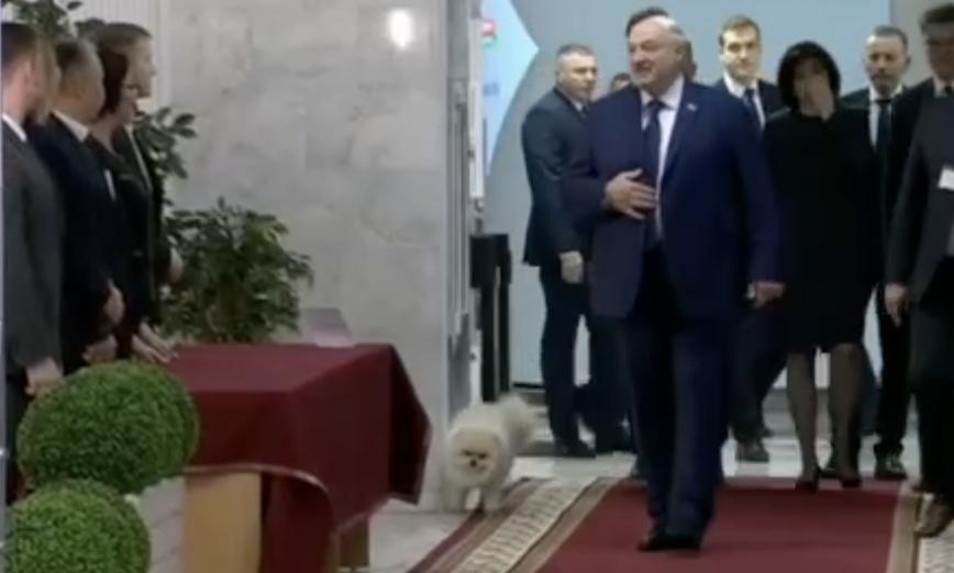 У Білорусі песик Олександра Лукашенка відзначився на виборах