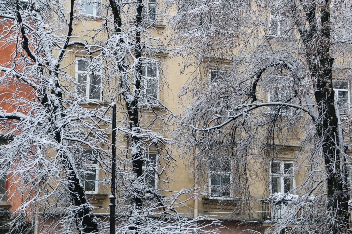Від 11° морозу до 8° тепла: якою буде погода в Україні у неділю