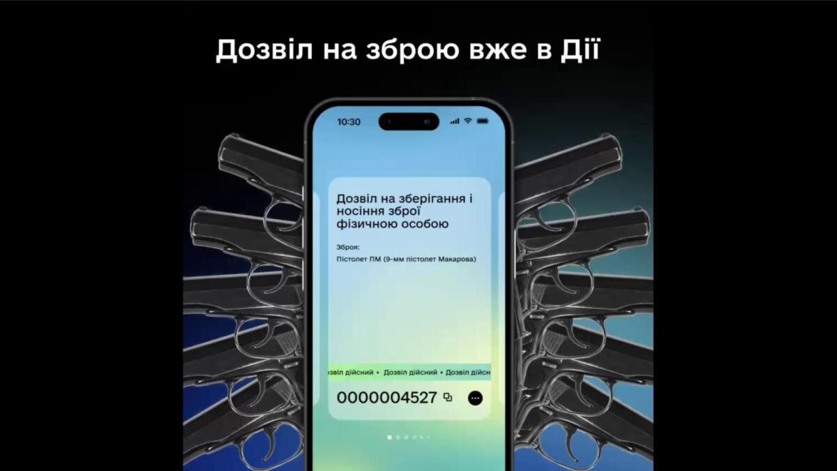 Міністр Федоров розповів, як оформити дозвіл на зброю у Дії: детально