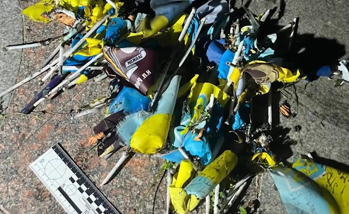 Росіянин, який спалював прапори України в Одесі, за це отримав лише 2 роки колонії    