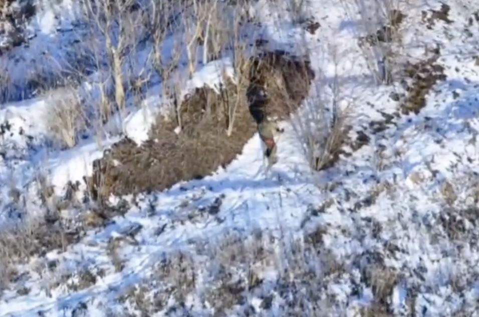 “Штурмові” милиці не врятували: на Покровському напрямку ліквідовано окупанта