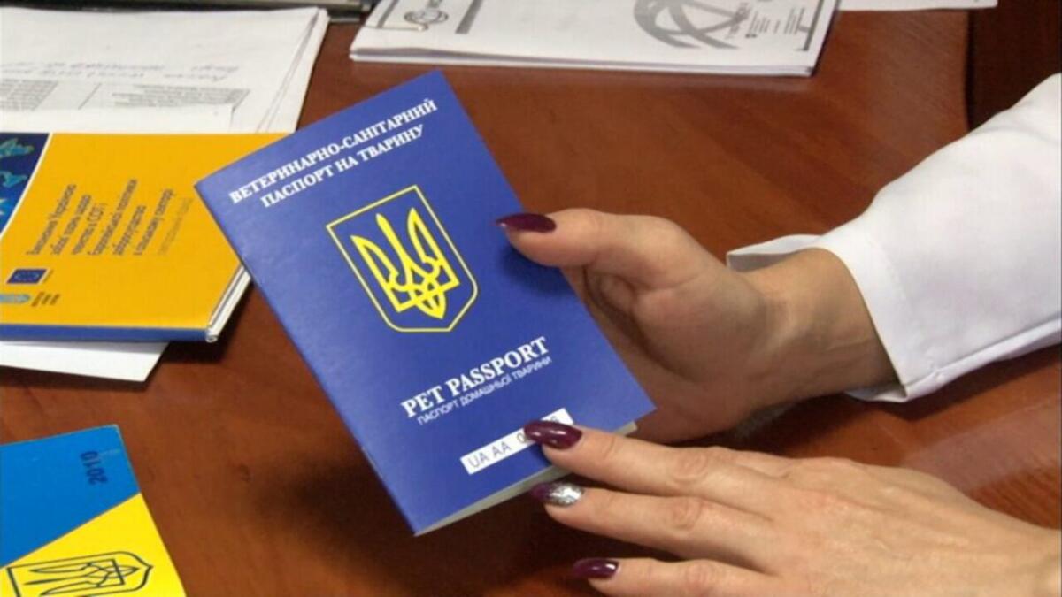 Українцям розповіли, як отримати офіційний паспорт на домашню тварину