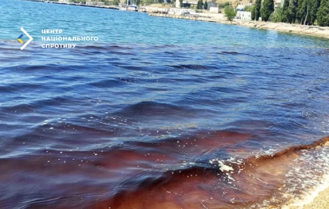 Загибель дельфінів фіксують в окупованому Криму