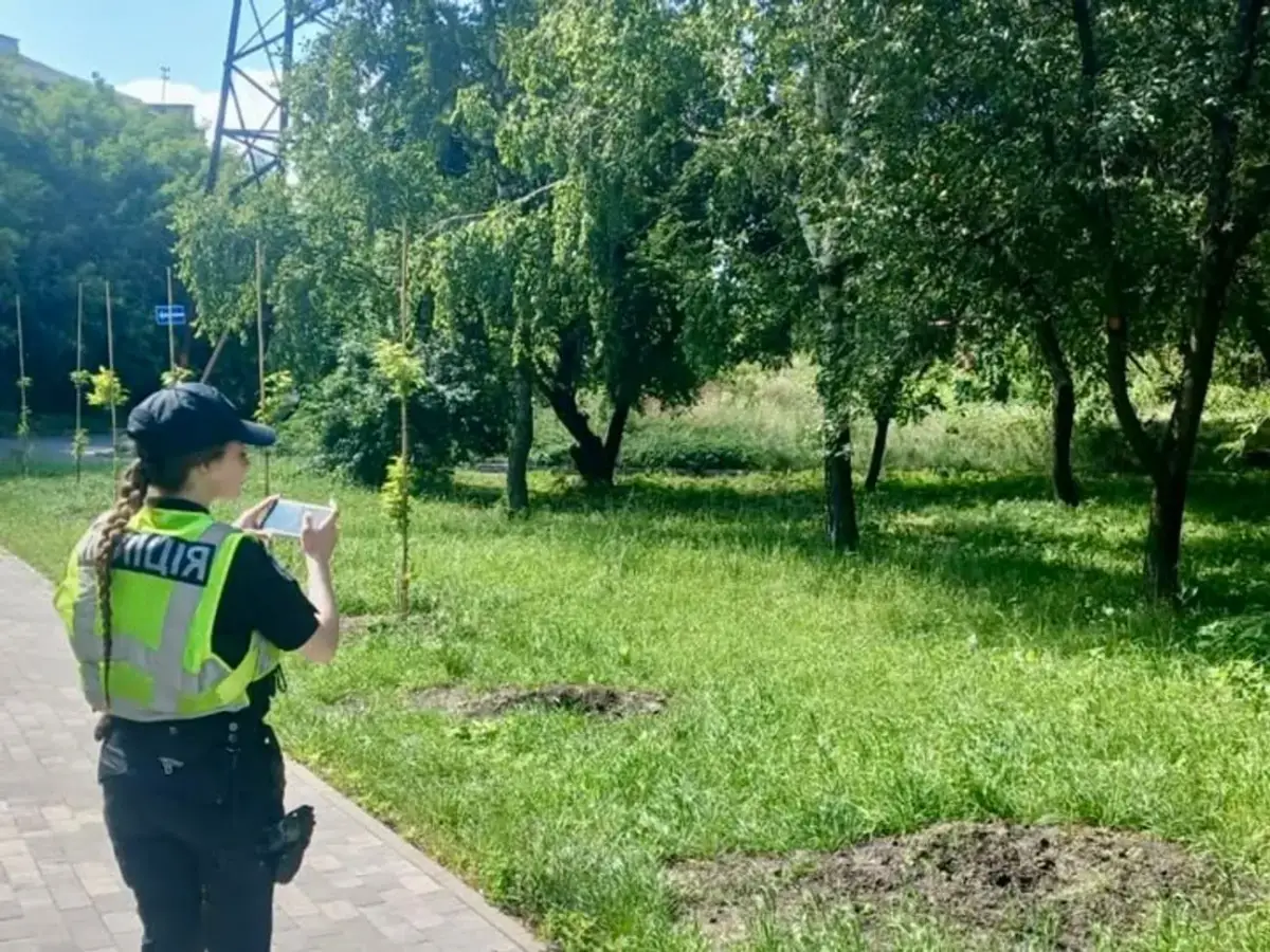 Зі столичного скверу викрали сакури, посаджені на честь загиблих українських медійників