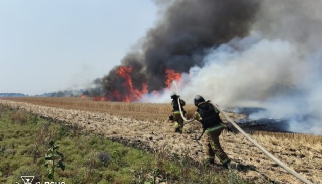 Поля пшениці вигоріли на Донеччині: подробиці від ОВА