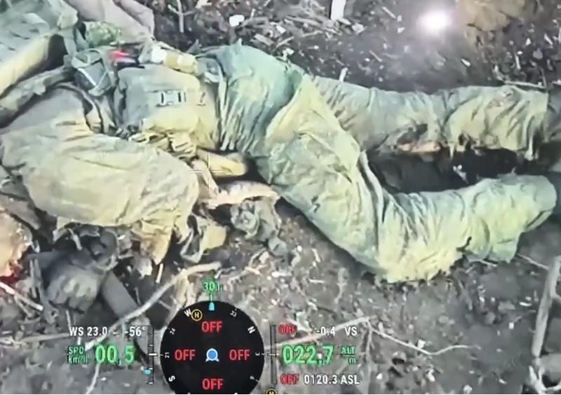Доведено на практиці: відпочинок в українських лісосмугах шкідливий для російських окупантів