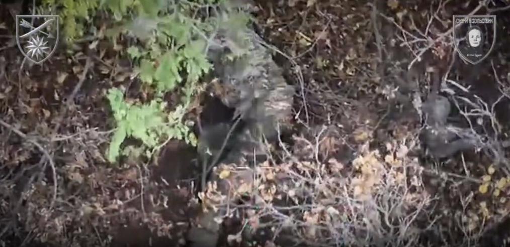 На Лиманському напрямку бійці 66-ї ОМБр продовжують “мінусувати” російських окупантів