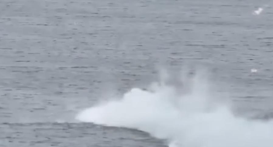 У мережі показали відео ліквідації ворожого човна на Дніпрі силами 40 ОБрБО