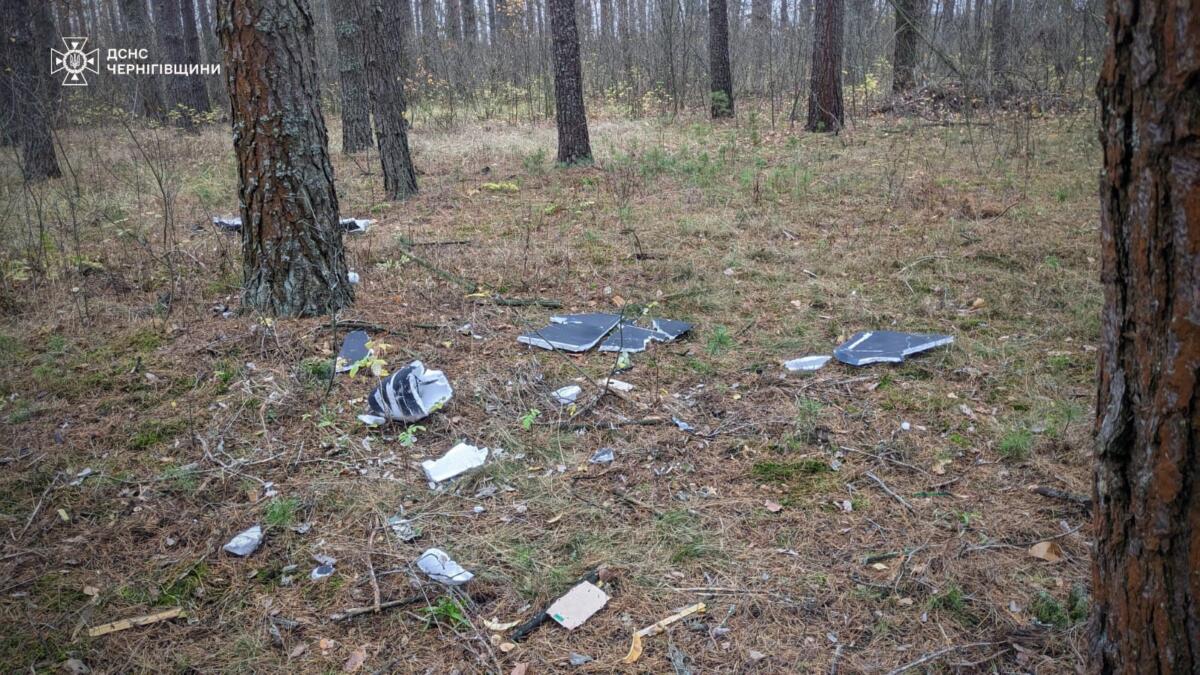 На Чернігівщині від детонації російського БПЛА постраждало двоє підлітків, які пішли за грибами