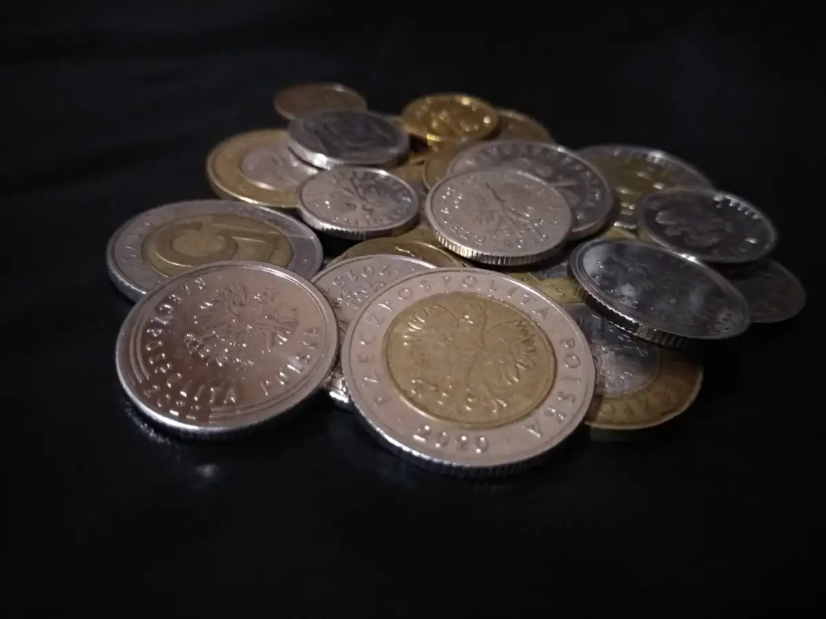 У Польщі в обігу з’явиться нова монета номіналом 5 злотих