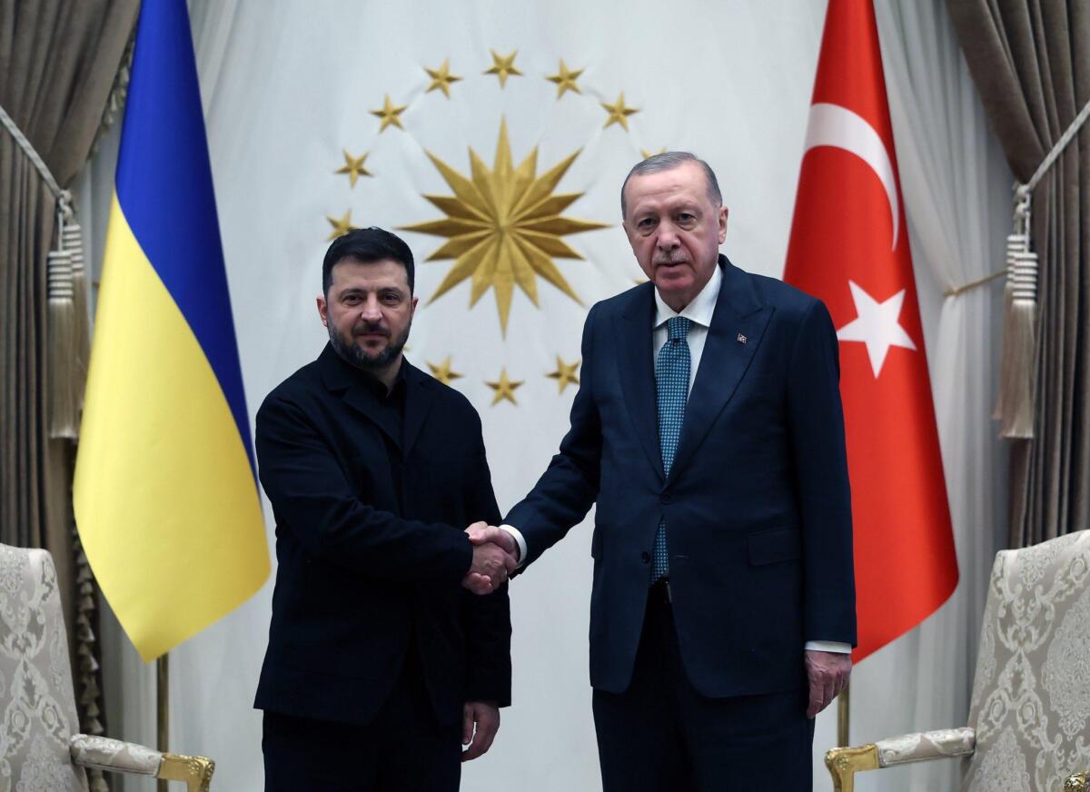 Анкара приймає Зеленського: що обговорюють президенти України та Туреччини