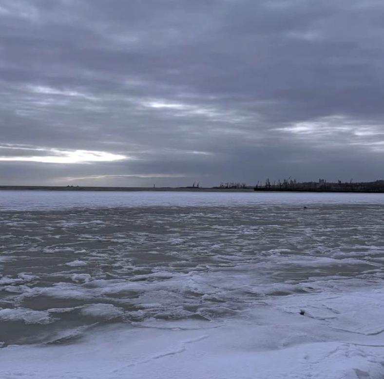 У мережі опублікували фото Азовського моря в Донецькій області
