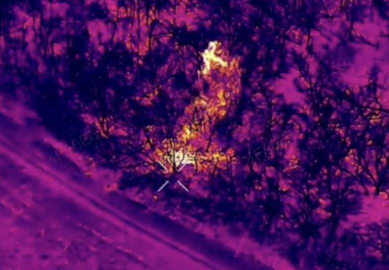 У ДПСУ показали роботу підрозділу «Фенікс» на Донеччині (відео)