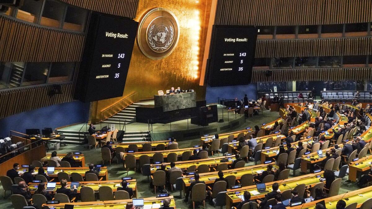 Генасамблея ООН відкинула правки США та підтримала суверенітет України