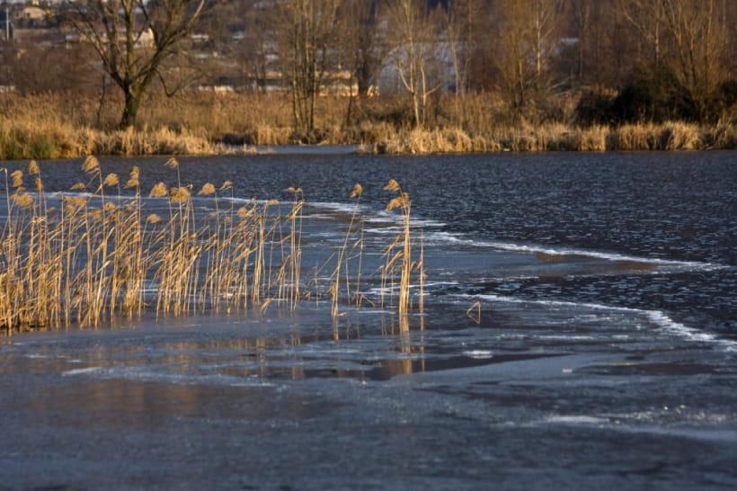 Погода: 4 березня Україну прогріє до +15°C, але Схід зачеплять атмосферні фронти