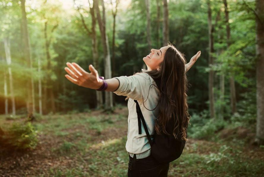 Лісова терапія: як прогулянки серед дерев впливають на здоров’я