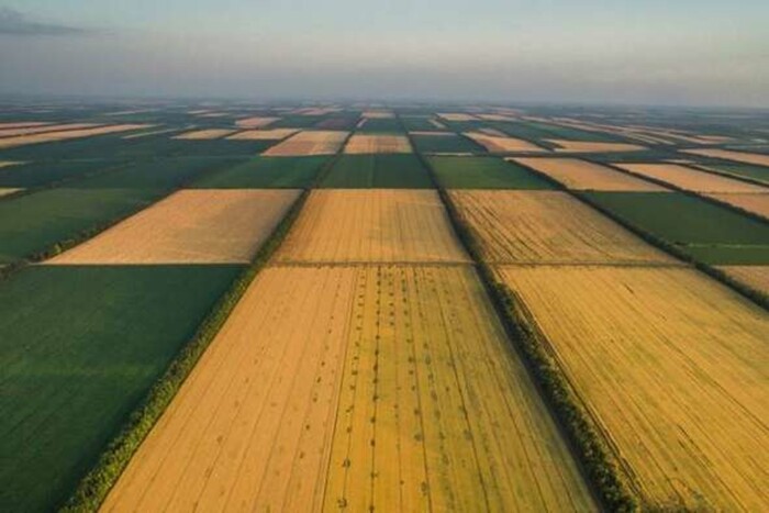 Як змінилися ціни на землю в Україні