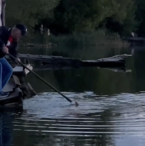 Рибалка, яка закінчилась оваціями: що сталося на водоймі в Умані