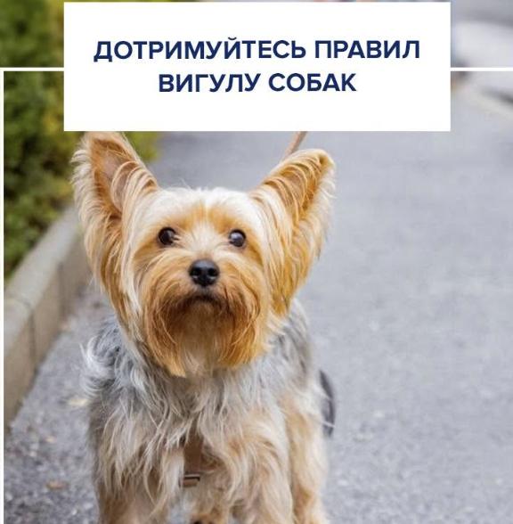 У поліції нагадали правила вигулу собак