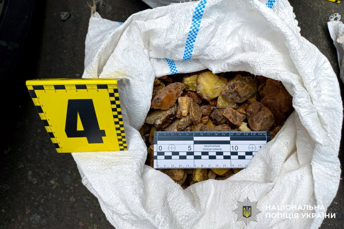 Правоохоронці вилучили кілька десятків кілограмів бурштину на Рівненщині